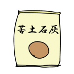 エンドウの畝づくりと定植作業